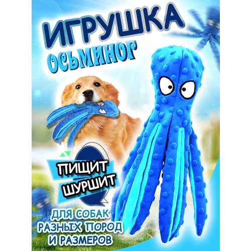 Игрушка для собак осьминог голубой фото