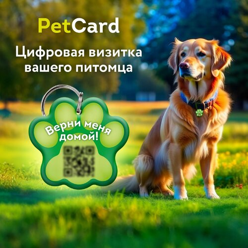 Адресник PetCard для собак и кошек с QR кодом и NFC, зелёный. фото