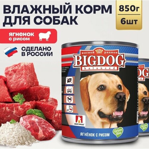 Корм влажный Зоогурман для собак BIG DOG Ягненок с рисом 6шт х 850г фото