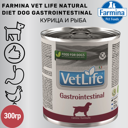 Farmina Vet Life (Фармина Вет Лайф) Gastrointestinal Лечебные консервы для собак при болезнях ЖКТ 300 г фото