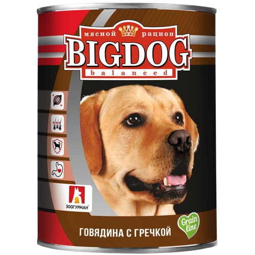 Влажный корм для собак Зоогурман Big Dog, говядина, с гречкой 1 уп. х 1 шт. х 850 г (для средних и крупных пород) фото