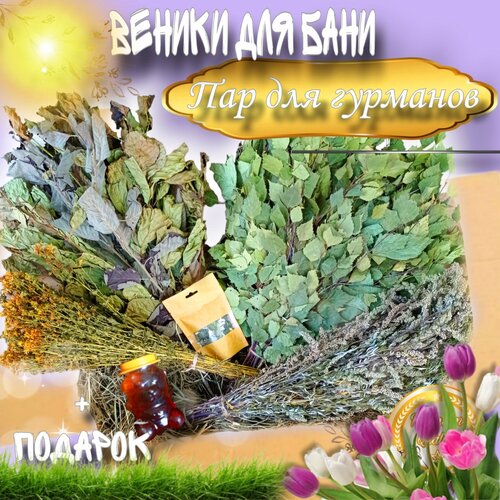 Веники для бани и сауны 