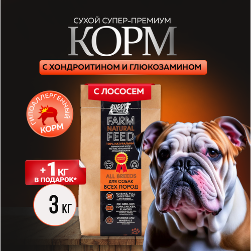 Сухой корм для собак крупных и средних пород Buddy Dinner Orange Line Hypoallergenic с лососем 3 кг + 1 кг в подарок фото