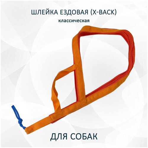 Шлейка ездовая totemica для собак X-Back, классическая оранжевая 