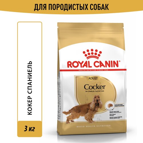 Корм для взрослых собак Royal Canin Cocker Adult (Кокер Эдалт) сухой для породы Кокер Спаниель от 12 месяцев, 3 кг фото