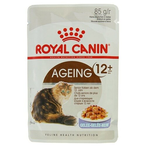 Влажный корм для пожилых кошек Royal Canin Ageing +12 85 г (кусочки в соусе) фото