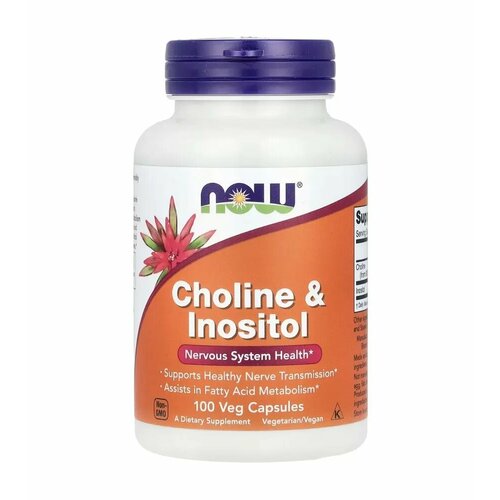 NOW Choline & Inositol Нау Холин и Инозитол, 500mg 100 Veg Caps фото