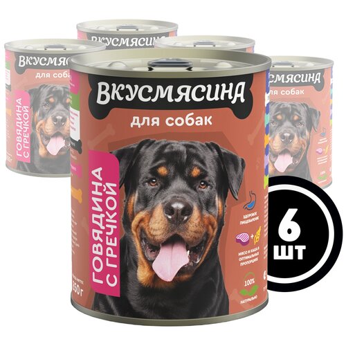 Влажный корм для собак вкусмясина с говядиной и гречкой, 850 г х 6 шт. фото