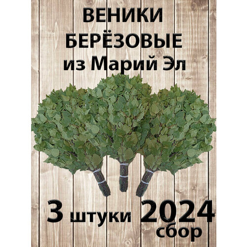 Веник березовый для бани 3 штуки Марий Эл, сбор 2024 года фото