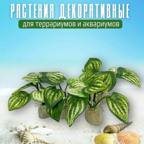 Комплект декораций для аквариума (террариума) 