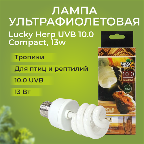 Лампа УФ Lucky Herp UVB 10.0 Compact, 13w фото