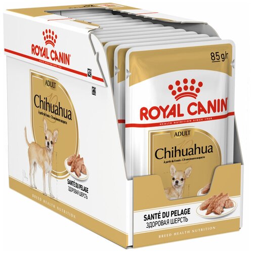 ROYAL CANIN CHIHUAHUA ADULT для взрослых собак чихуахуа паштет (85 гр х 12 шт) фото