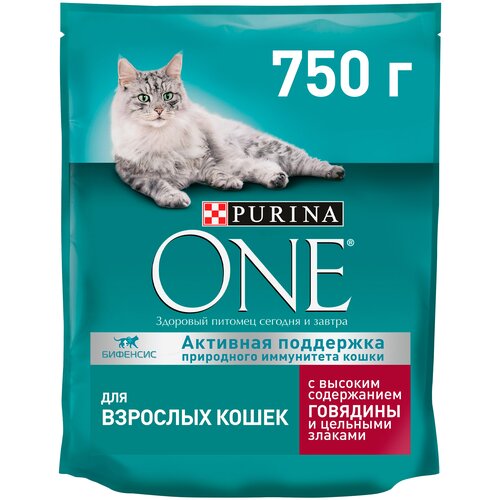 Сухой корм для кошек Purina ONE с высоким содержанием говядины и цельными злаками 4 шт. х 750 г (кусочки в соусе) фото