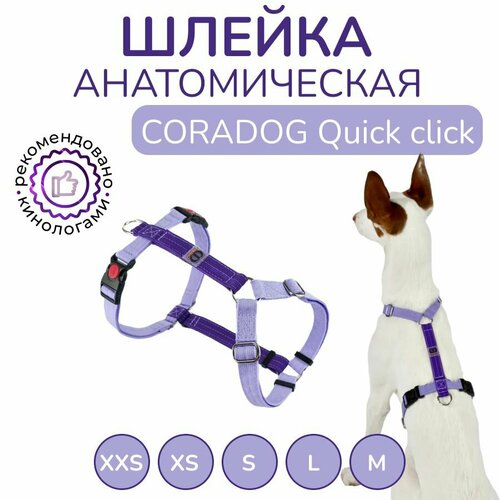 Шлейка прогулочная анатомическая для мелких и средних пород собак, CORADOG Quick click, размер XS, цвет сиреневый, фиолетовый фото