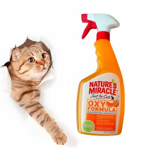 Уничтожитель пятен и запахов для кошек Nature's Miracle Oxy Formula Cat Stain and Odor Remover фото