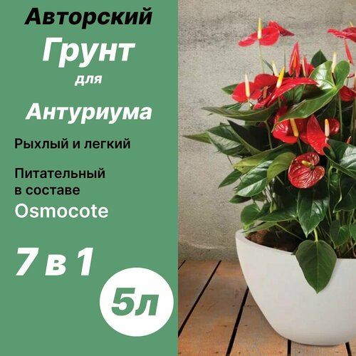 Грунт для Антуриума 5л / Бионика фото