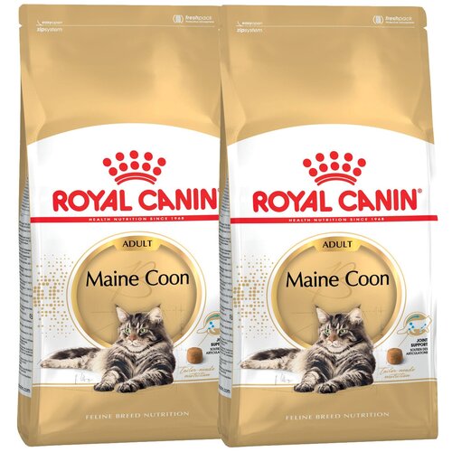 Сухой корм ROYAL CANIN MAINE COON ADULT для взрослых кошек мэйн кун (10 + 10 кг) фото