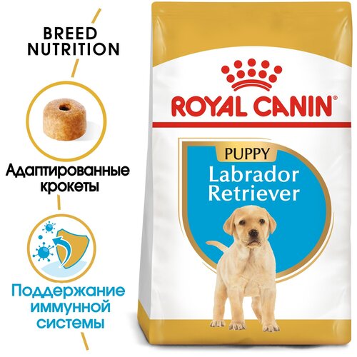 Сухой корм для щенков Royal Canin Лабрадор ретривер до 15 месяцев, для поддержания иммунитета 1 уп. х 2 шт. х 3000 г (для средних пород) фото