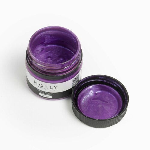 Holly Professional Грим на гелевой основе / краска для лица, волос и тела Color Gel Violet фото