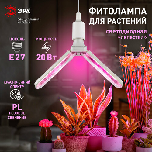 Фитолампа для растений светодиодная ЭРА GREEN LINE ФИТО-20W-PL-E27-GR 2-х лепестковая красно-синего спектра 24 Вт Е27 фото