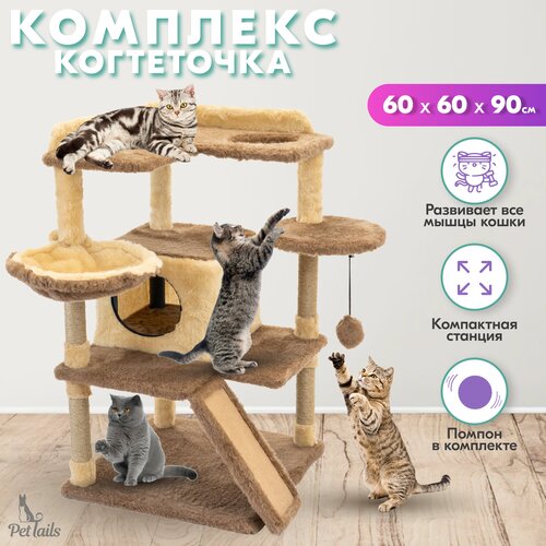 Когтеточка для кошек, 