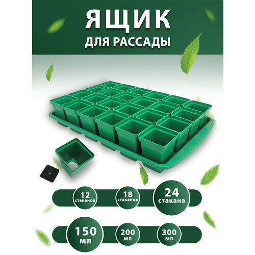 Набор для рассады с поддоном: горшочки 150 мл 24 шт. / горшочки для рассады фото