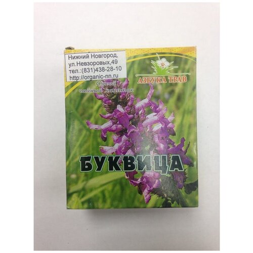 Буквица лекарственная, трава 1,5гр*20 фильтр-пакетов Азбука трав (Betonica officinalis L.) фото