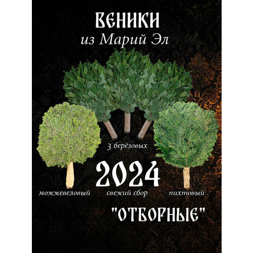 Комплект веников для бани, 3 березовых, пихтовый и можжевеловый из Марий Эл фото