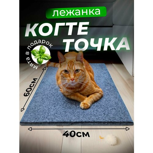 Когтеточка для кошки напольная лежанка с кошачьей мятой, 60х40 см/ серая фото