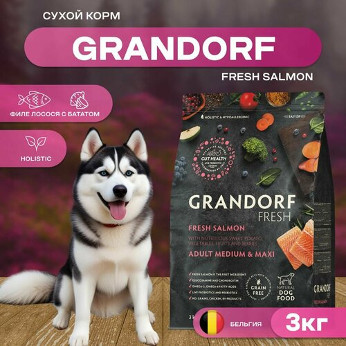 Сухой корм GRANDORF Fresh Dog Adult MED&MAXI Salmon&Sweet Potato для собак средних и крупных пород из свежего филе лосося с бататом, 3 кг фото