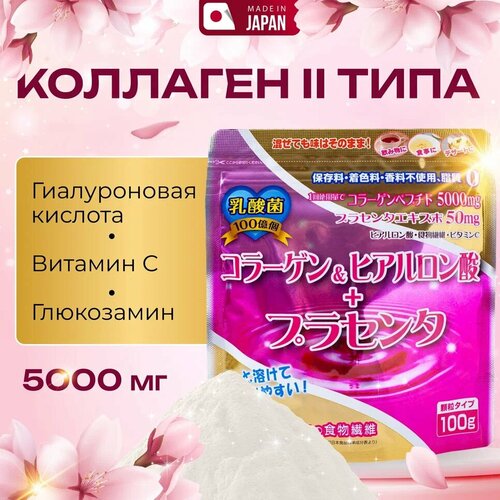 YUWA Порошок Коллаген 2-го типа + Витамин С гидролизованный / Collagen II + Vitamin C, мягкая упаковка (пакет с zip lock замком) 100гр. / Витамины для женщин / Коллаген для суставов, улучшения состояния волос и лица / Япония фото