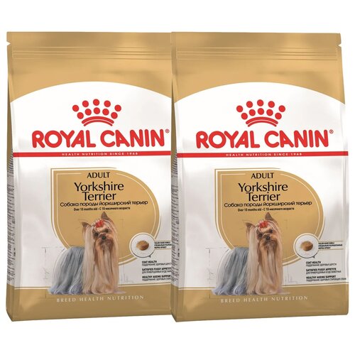 Сухой корм для собак Royal Canin породы Йоркширский терьер, для здоровья кожи и шерсти 1 уп. х 2 шт. х 500 г фото