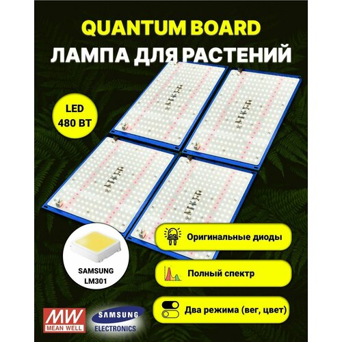 Светильник для растений/ quantum board c диодами Samsung LM-301, фитолампа 480 ватт, Mean Well, 5000К, квантум борд фото