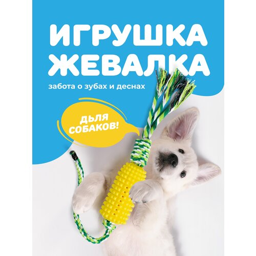 Резиновая игрушка для собак и щенков канат, SSY, Интерактивная игрушка для чистки зубов фото