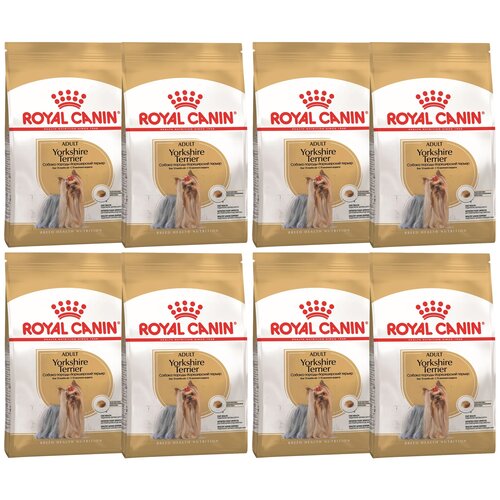 Сухой корм для собак Royal Canin породы Йоркширский терьер, для здоровья кожи и шерсти 1 уп. х 6 шт. х 1500 г фото