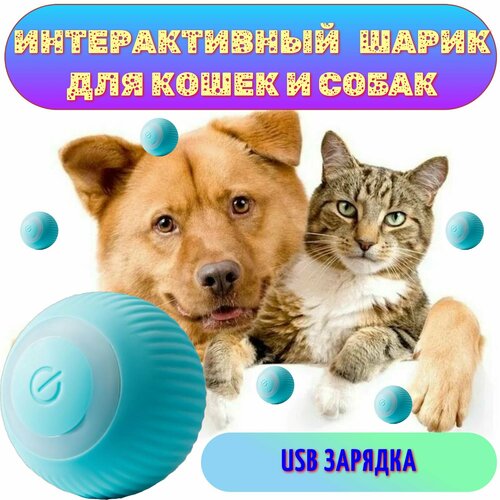 Интерактивная игрушка для животных (синяя)/Игрушка для кошек и собак мелких пород/Дразнилка для животных фото