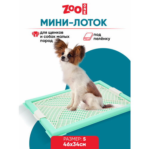 Туалет для щенков ZooOne Мини с сеткой 46х34х2 см 1 шт. 1 шт. 46 см 34 см 2 см зеленый S фото