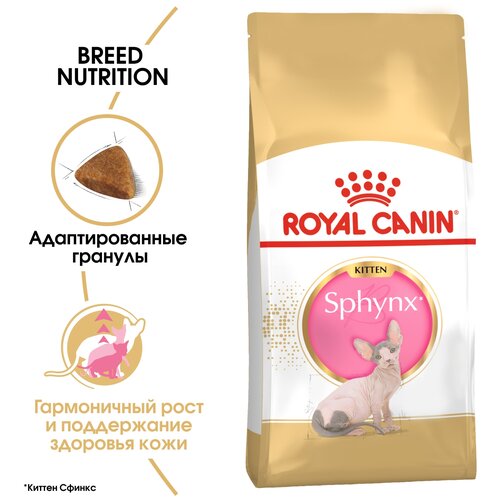 Сухой корм для котят Royal Canin Kitten Sphynx для котят породы Сфинкс от 4 до 12 месяцев 2 шт. х 400 г фото