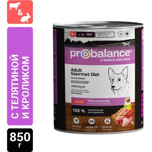 Влажный корм для собак ProBalance Gourmet Diet, телятина, кролик 1 уп. х 1 шт. х 850 г фото