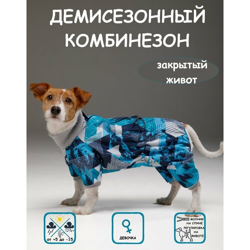 Комбинезон для собак DOGMODA Классик девочка мята размер 3 фото