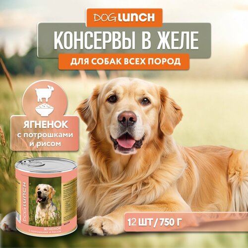 Влажный корм для собак Dog Lunch ягненок 1 уп. х 12 шт. х 750 г фото