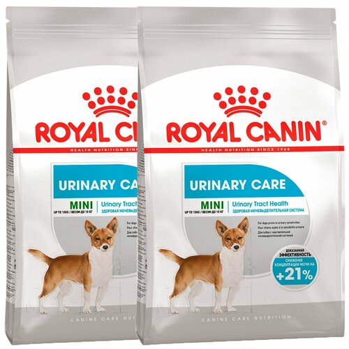 Сухой корм ROYAL CANIN MINI URINARY CARE для взрослых собак маленьких пород при мочекаменной болезни (1 + 1 кг) фото