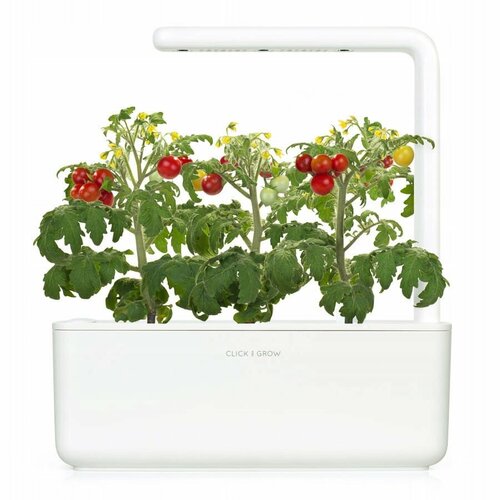 Click And Grow Умный сад Click And Grow Smart Garden 3 томат черри (белый) фото