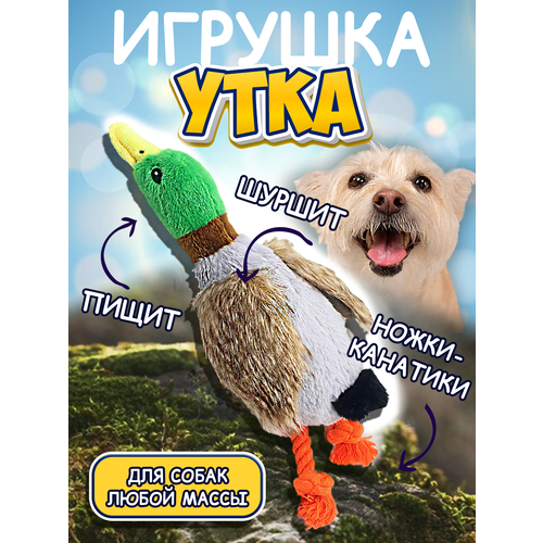 Игрушки для собак 