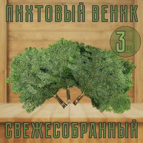 Веник Пихтовый свежесобранный для бани 3 шт. фото