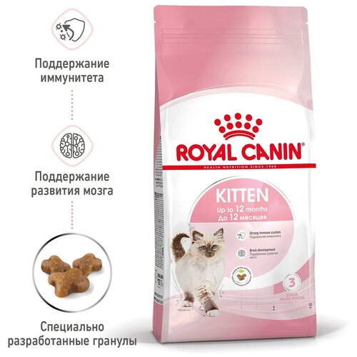 Сухой корм для котят Royal Canin Kitten 2 шт. х 300 г фото