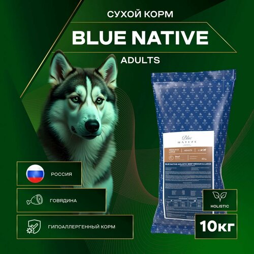 Сухой корм BLUE NATIVE HOLISTIC BEEF, для собак средних и крупных пород, говядина и бурый рис 10 кг фото