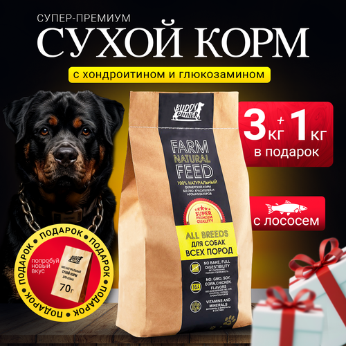 Сухой корм для собак средних и крупных пород Buddy Dinner Gold Line Hypoallergenic с лососем 3 кг + 1 кг в подарок фото