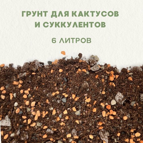 Готовый грунт для кактусов и суккулентов. Грунт для сансевиерии. 6 литров. фото