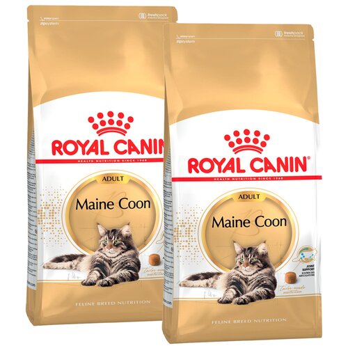 Сухой корм ROYAL CANIN MAINE COON ADULT для взрослых кошек мэйн кун (4 + 4 кг) фото